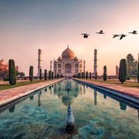Taj Mahal in sunrise light, Agra, India